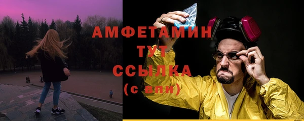 молекула духа Арсеньев