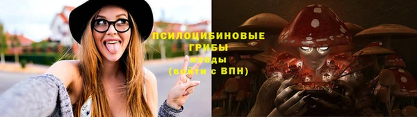молекула духа Арсеньев