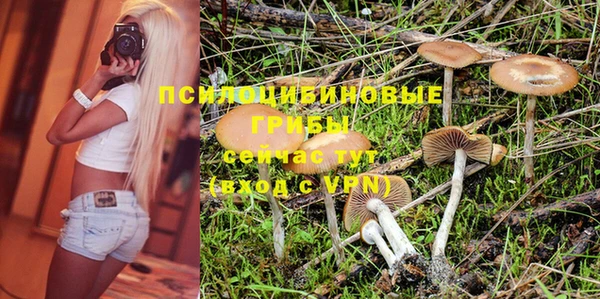 молекула духа Арсеньев