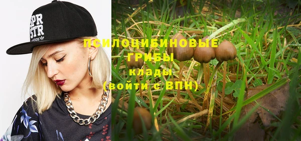 молекула духа Арсеньев