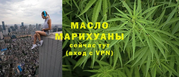 молекула духа Арсеньев
