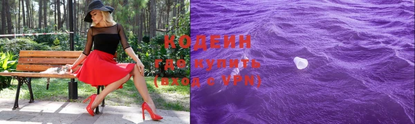 молекула духа Арсеньев