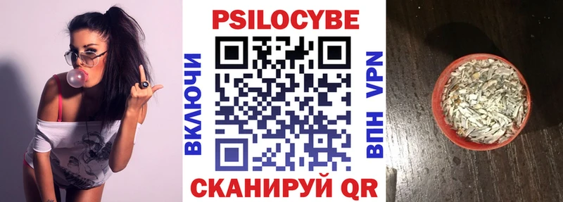 Купить закладки  Могоча  Галлюциногенные грибы мицелий 
